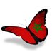 wijdane (@agadir_wijdane) Twitter profile photo wijdane (@agadir_wijdane) Twitter profile photo