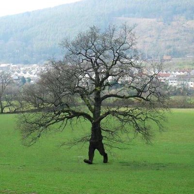 Peets_J's profile picture. Always important to remember the gulf between theory and practice, between idealism and realism, and between utopia and dystopia.