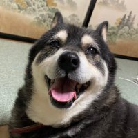 たべお (@apex_yarimasyo) 's Twitter Profile