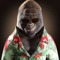 Makak (@minecra85219766) 's Twitter Profile Photo