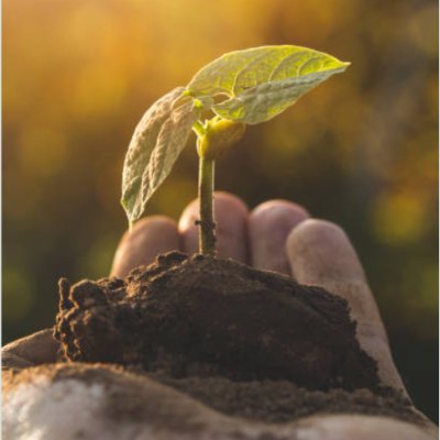 nivinpaul3's profile picture. "Self-belief and hard work will always earn you success."

"Imagination is more important than knowledge. Knowledge is limited. Imagination encircles the world.