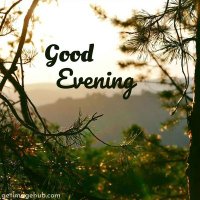 Moinul Huda (@moinulhuda7129) 's Twitter Profile