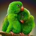 Bhad Parmar (@parmarbhad) Twitter profile photo Bhad Parmar (@parmarbhad) Twitter profile photo