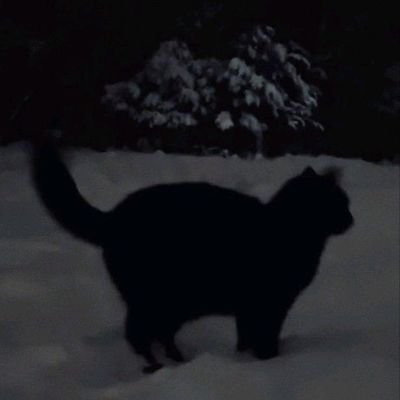 YTaek_003's profile picture. 예쁜 것들을 사랑해요 ☺️💕