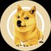 DOGE1 (@doge_o1) Twitter profile photo DOGE1 (@doge_o1) Twitter profile photo