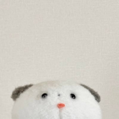 SNS管理が難しくなったので今後は親に託します。 スージー