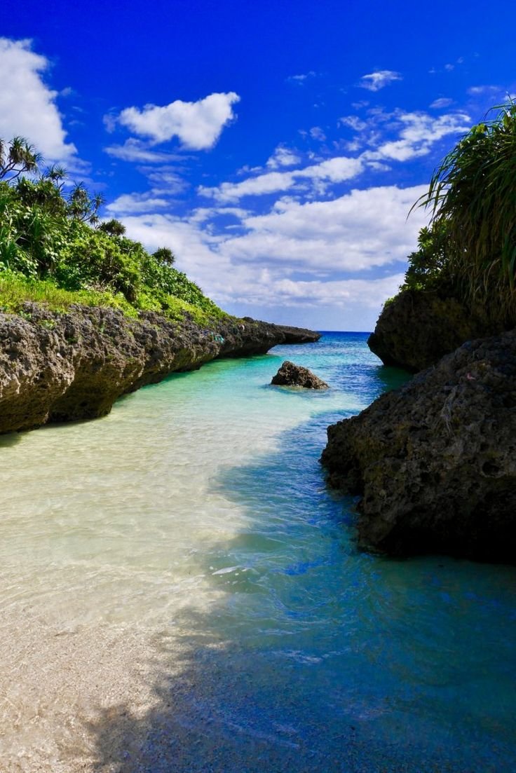 JoleneJest249's profile picture. 夢は必ず叶うと思うんです。強い意志をもち、必要なことを怠らず、チャンスを見逃さない。私自身、これからも夢を追いかけていこうと思っています。