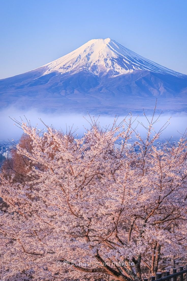 Bruce2140290966's profile picture. 人生とは旅であり、旅とは人生である。