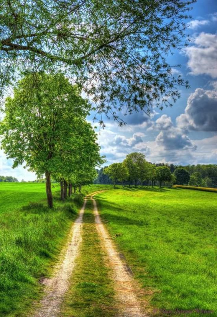 Anthony61564151's profile picture. 夢は必ず叶うと思うんです。強い意志をもち、必要なことを怠らず、チャンスを見逃さない。私自身、これからも夢を追いかけていこうと思っています。