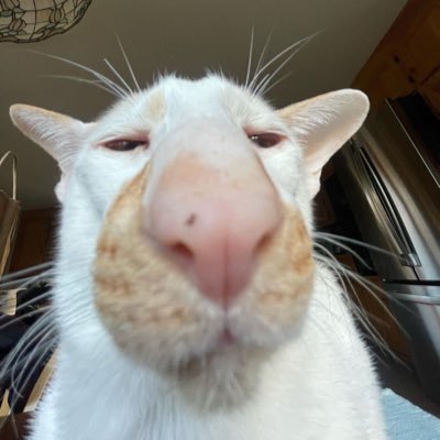 soy0mio's profile picture. 