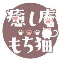 クアトロ⁽⁽🏃♂️🐈₎₎M3春 L-16b (@motineko_qatr) 's Twitter Profile