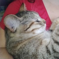 Писати фентезі капець як просто (@25doli25) 's Twitter Profile Photo Писати фентезі капець як просто (@25doli25) 's Twitter Profile Photo