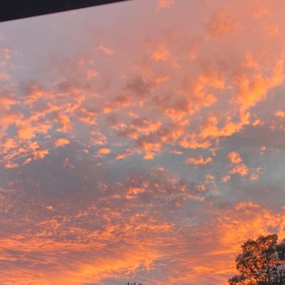 uguisuroo's profile picture. 