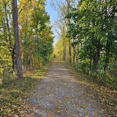 CDelavak's profile picture. 