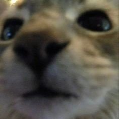 znkznkd's profile picture. 