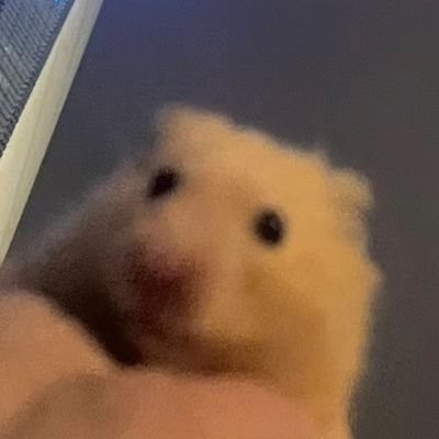 uuj65's profile picture. 2n⬆️ 성인, 구독계