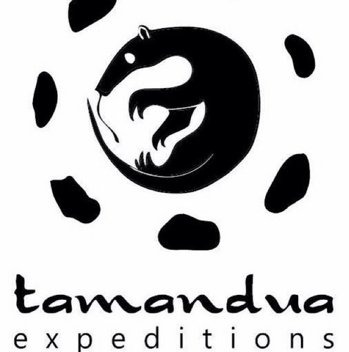 tamanduajungle's profile picture. We bring groups to the #Amazon #Rainforest, leading conservation efforts in the Madre de Dios region of Peru with Tamandua Expeditions. #PaulRosolie