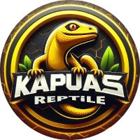 Kapuas Reptile (@kapuasreptile) 's Twitter Profile