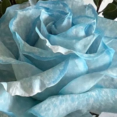 reira101's profile picture. 