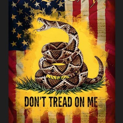 🇺🇸🇺🇸 Constitutional conservative; Bill of Rights defines individual rights; #1A #2A;