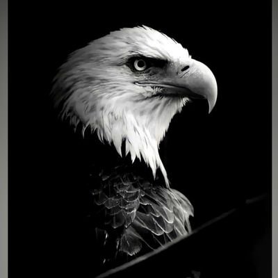 Garudspeaks's profile picture. Likes, Retweets or followings ≠ Endorsements || Conservative ॐ || Sports || Say No To Abortion 👣 || Pro-Life🧬 ||