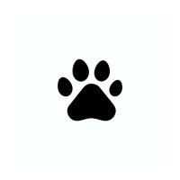 Nekotto (@nekottoo) 's Twitter Profile