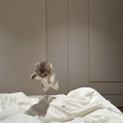 huruhonya6's profile picture. たまに受験生