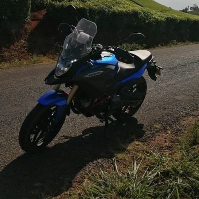Nicholasisky's profile picture. Luck Favours the Daring
