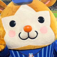 真城🐹　@ベイ (@sanagi_baystars) Twitter profile photo