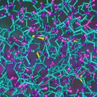 FASEB Microbial Glycobiology 2024 (@fasebmicroglyco) 's Twitter Profile