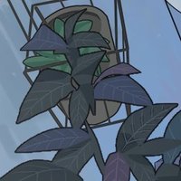 ByoChyo (@byo_chyo) 's Twitter Profile