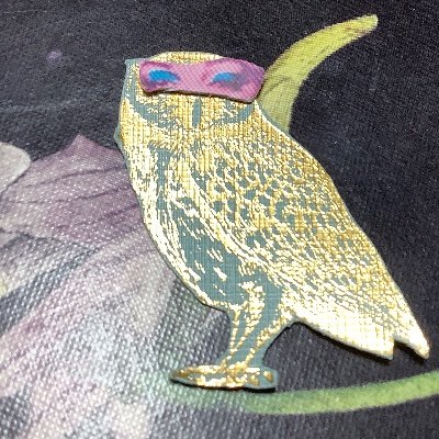 Adventurou13602's profile picture. 