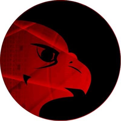 Digital Eagles Profile