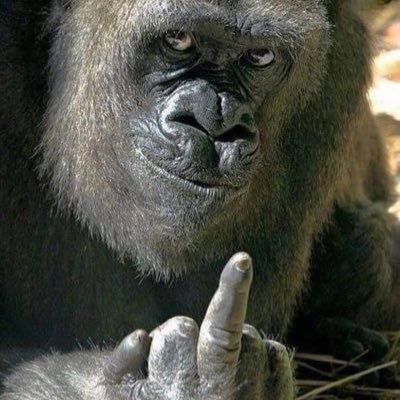 itsammykdot's profile picture. If I won the award for laziness, I would send someone to pick it up for me😏😉