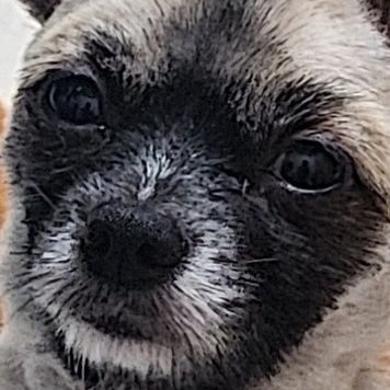 jdshquudjf's profile picture. 안녕하세요~