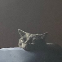 Hiiragi (@wannabeaconsul) 's Twitter Profile