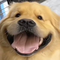 EnOugH (@gggg_liuzhao) 's Twitter Profile