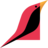 MinutePostIndia's profile image