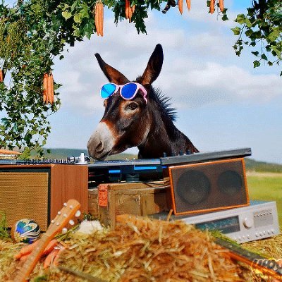 donkeycarts💎|est.2024 bns acct of @yowladieees🍊| @emmmmmm_20🎀| @wonutheone 🫐
feedback ᥫ᭡ : #mailsfromdonkey