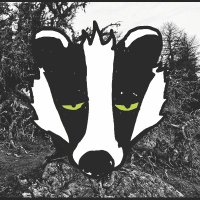 Elon Musk is a pathetic nazi (@badgeratordoor) 's Twitter Profile