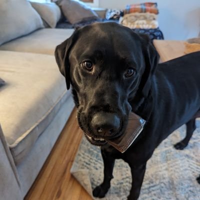 DumpsterCrocs Profile