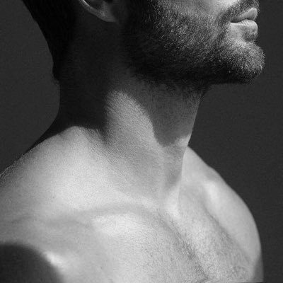 ucherepp's profile picture. 