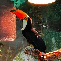 Muhan Gao (@muhan_gao) 's Twitter Profile Photo