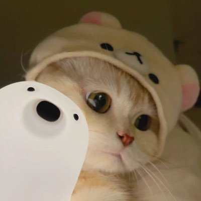 🐈‍⬛🐶✨🪐