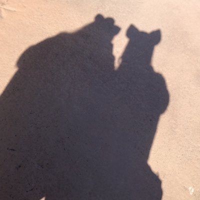 yukiebi8102's profile picture. 低浮上INI垢💖25↑藤牧京介くん🐶💙田島将吾くん🤓💚
ME:I❥︎海老原鼓ちゃん🧡JO1❥︎川尻蓮くん💙ME:I垢&JO1垢もあります！20↑の人でお願いします。年齢わからない人🙅🏻‍♀️FC会員。プラメたまに。大丈夫そうな人だけフォローしてください🙌🏻🙌🏻