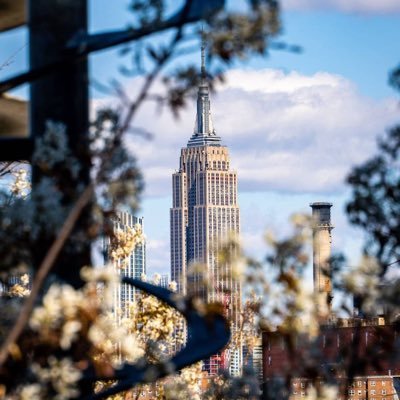 airbornechao's profile picture. 