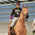 Intense Stables (@intensestables) Twitter profile photo Intense Stables (@intensestables) Twitter profile photo