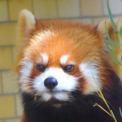 frecklfreckl's profile picture. Simp.

Non professional pro gamer.