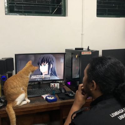 selumbari12's profile image