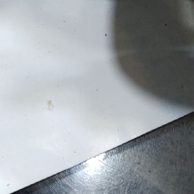 aassd12843's profile picture. 